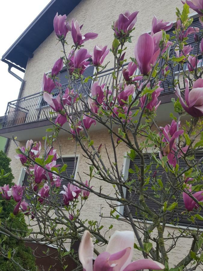 Apartmani Grlice II Varaždin Eksteriør billede